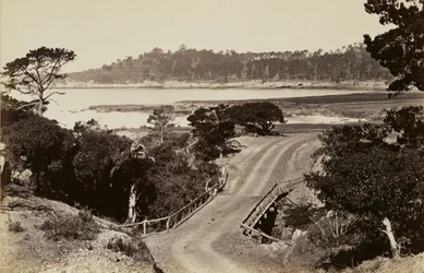 Coast View near Monterey