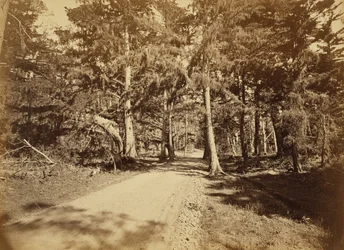 Monterey, California. Moss Avenue, 18 Mile Drive
