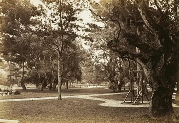 [Park near Hotel del Monte, Monterey?]