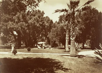Thurlow Lodge - Tent and Family Group