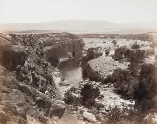 Untitled [stream landscape]