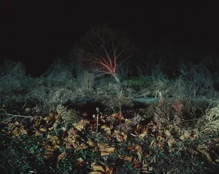Painting in the Dark, 2011