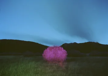 Painting in the Dark, 2015