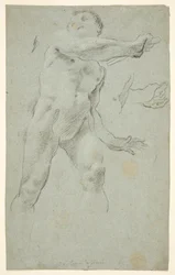 Male Nude