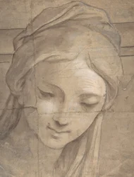 Head of a Young Woman in Three-Quarter View Facing Left