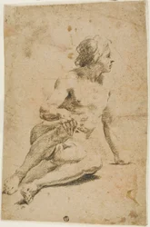 Seated Male Nude