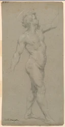Studies of a Male Nude