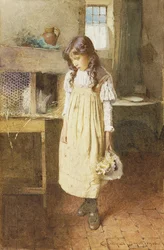 The Pet Rabbit