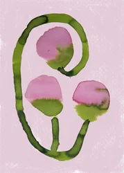 Abstract Pink Blooms