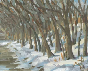 Snowy Riverbank Trees