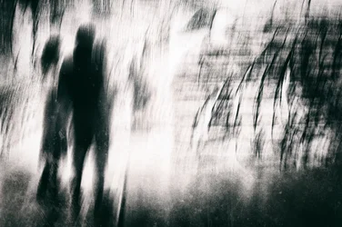 Haunting Blurred Silhouettes