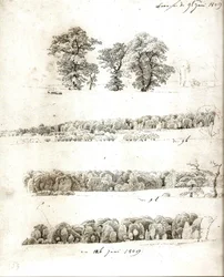 Tree Studies 1809