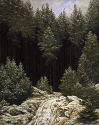 Early Snow