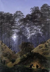 Inside the Forest in the Moonlight
