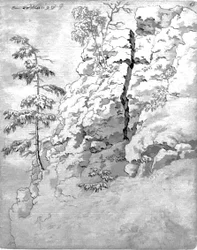 Rocky Slope with Trees