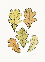 Autumn Oak Leaves