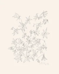 Botanical Flower Study