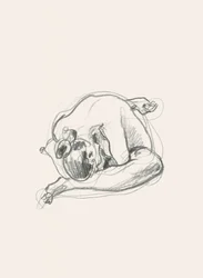 Quiet Curled Figure