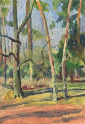 Sunlit Forest Path