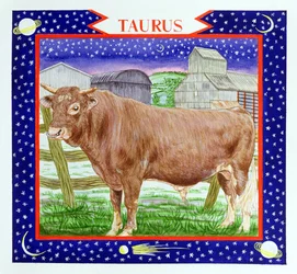 Taurus