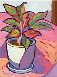 Cabana Plant, 2024