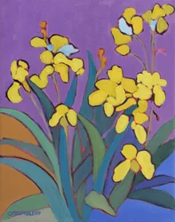 Summer Iris Garden