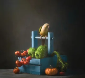 Autumn Parrot Still Life
