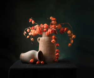 Rustic Chinese Lanterns Still Life