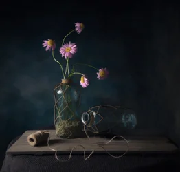 Rustic Daisy Still Life