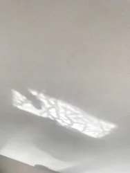 Composition - Reflections