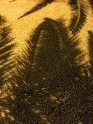 Composition - Shadows, 2021