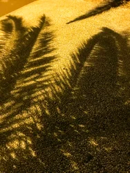 Composition - Shadows, 2021