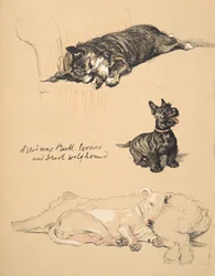 Aberdeens, Bull-Terrier and Irish Wolfhound, 1930, Illustrations from his Sketch Book used for Just Among Friends