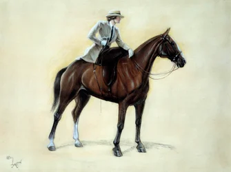 An Elegant Cavalier Rising into an Amazon