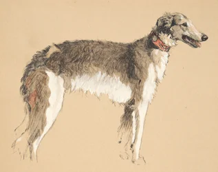 Borzoi, 1930, Illustrations from His Sketch Book Used for Just Among Friends, Later Published by Eyre and Spottiswoode Limited, 1934
