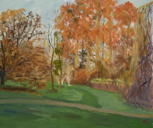 November Sun on the Redwoods