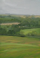 Rain, Cornbury Park, Cotswolds