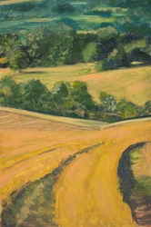 The Golden Hour, Cotswolds, 2013