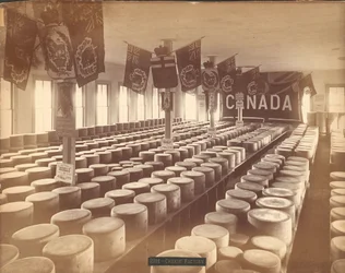 Cheese Factory