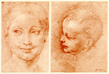 Head Studies