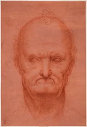 Head of Old Man