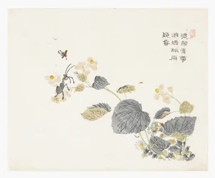 Mustard Seed Garden