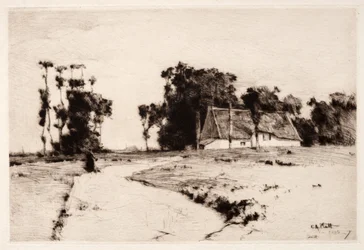 Brittany Trees