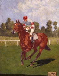 Racehorse
