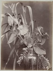 Flower Study with Glass Bottle
