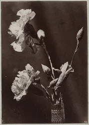 Flower Study with Glass Vase