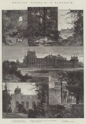 English Home, Blenheim
