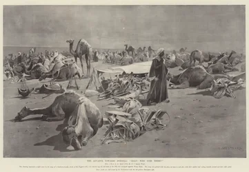 The Advance towards Dongola, Halt! Who Goes There