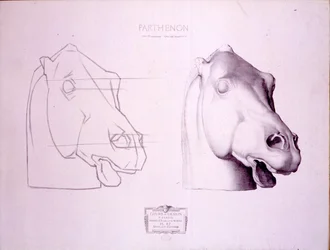 Horse head from the West Pediment of the Parthenon, plate 47 from Cours de Dessin, c. 1898