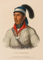 APAULY-TUSTENNUGGEE, from History of the Indian Tribes of North America